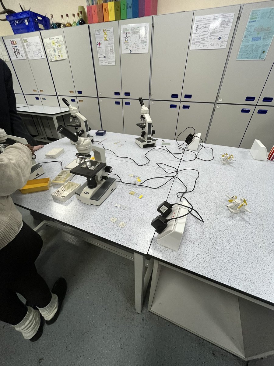 Highams Park School tweet media