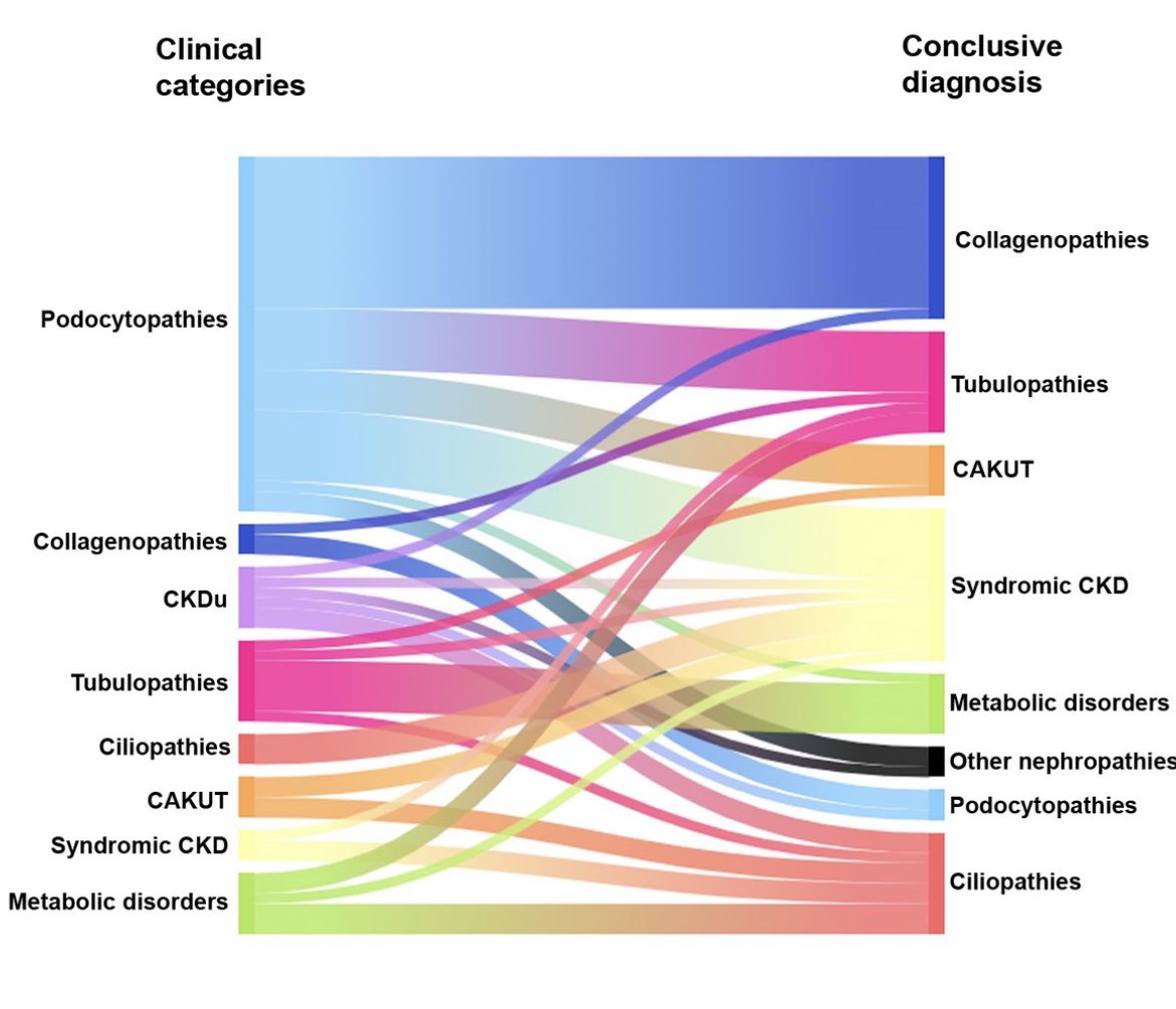 Using our diagnostic algorithm we changed the initial clinical diagnosis in 1/5 of patients with genetic kidney diseases. Reported in our new study in JASN bit.ly/JASN076