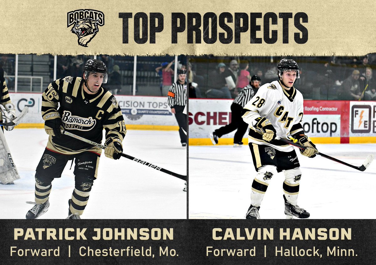 NEWS: Forwards <a href="/Patrick10johnny/">Patrick Johnson</a> and <a href="/calvin8hockey/">Calvin Hanson</a> will represent the central division at the 2023 <a href="/NAHLHockey/">NAHL</a> Top Prospects Tournament in February!

📰 bismarckbobcats.com/johnson-and-ha…