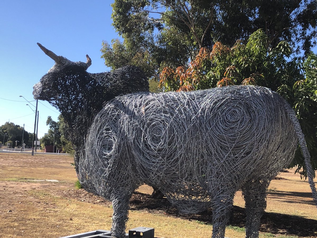 Scrapmetalsheil's tweet photo. Barbed wire Brahman Bull that I made @Scrapmetalsheil #artists #artistsontwitter #BULLISH #bull #barbedwire #metalart https://t.co/WMmgUTXEGb