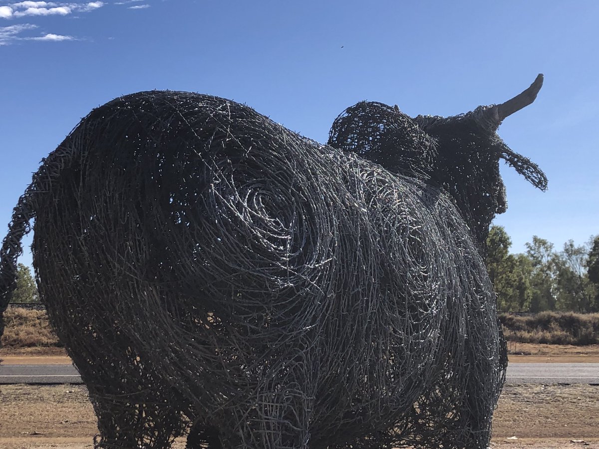 Scrapmetalsheil's tweet photo. Barbed wire Brahman Bull that I made @Scrapmetalsheil #artists #artistsontwitter #BULLISH #bull #barbedwire #metalart https://t.co/WMmgUTXEGb