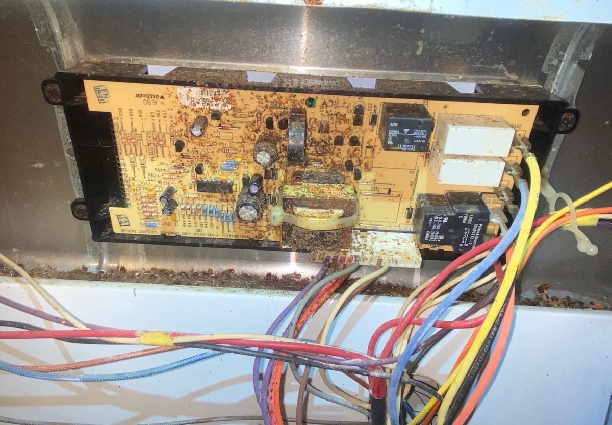 redorepairs's tweet image. And the critters win again..........😔

#laterfrigerator

.
.
.
.
.
#ripstove #controlboard #critters #appliancerepairs #dontbuynewredo #redo 
#redoappliance #houstoncounty