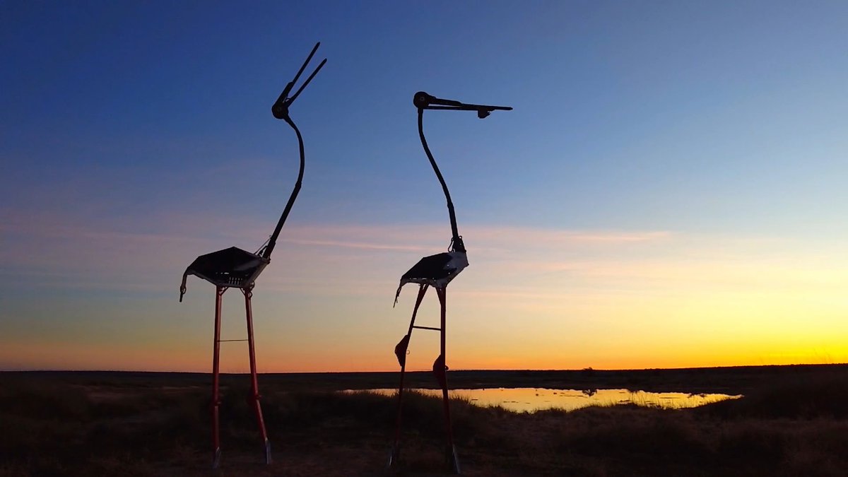 Scrapmetalsheil's tweet photo. Lake Dunn Sculpture Trail images @Scrapmetalsheil #art #sculpture #artists https://t.co/2KCYbI9R8y