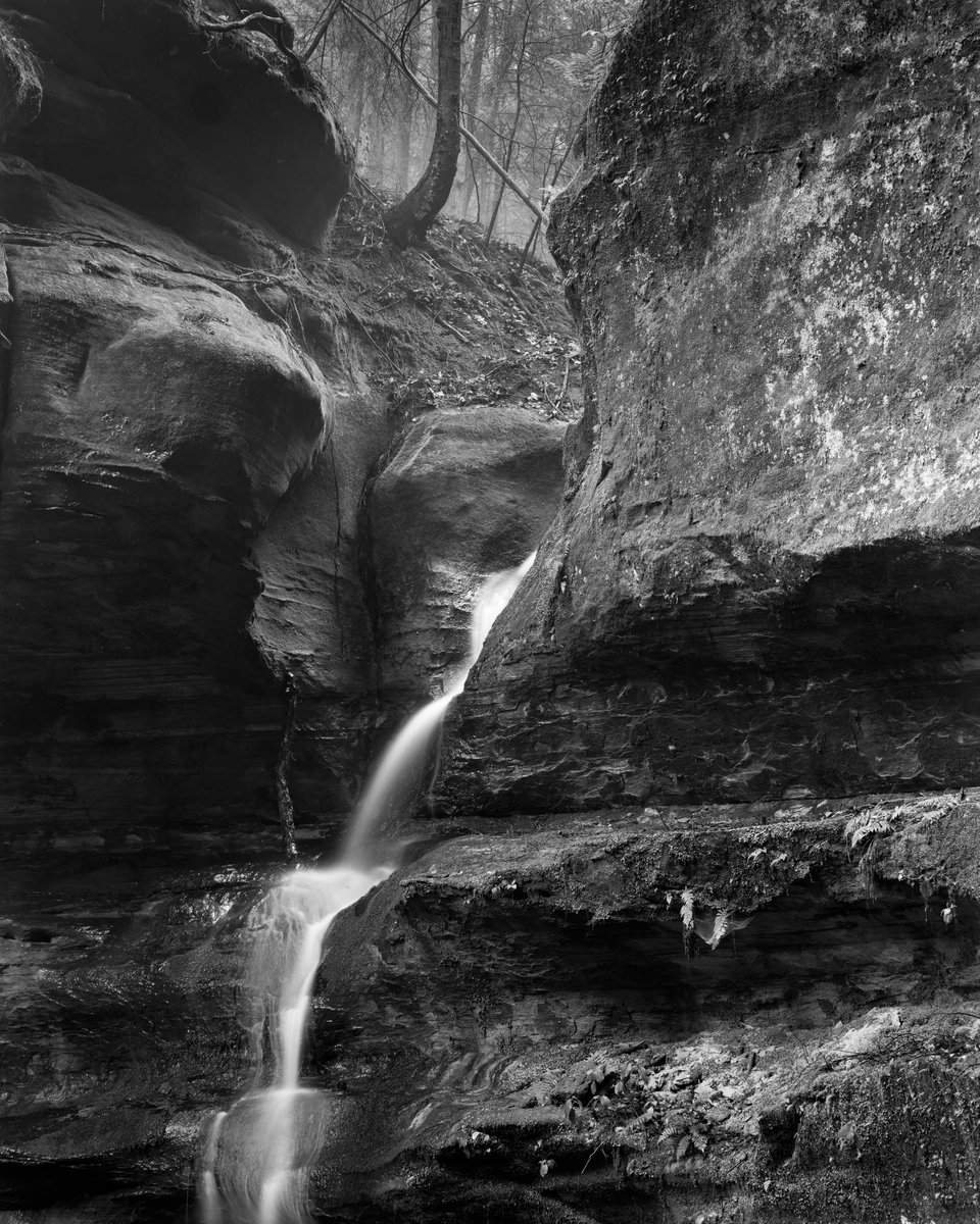 A5 #photochat Some of my favorite photographs were made in drab conditions. 

#largeformat #filmphotography #believeinfilm #hockinghills