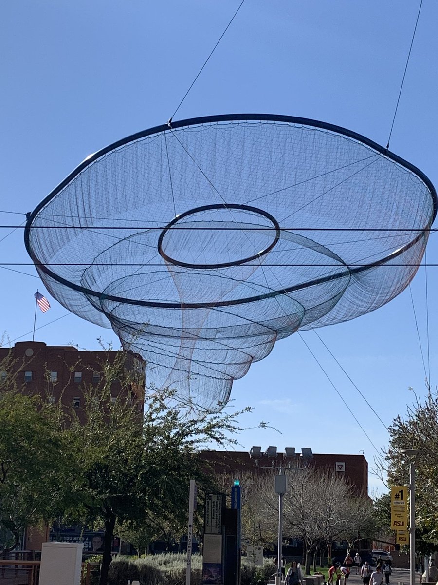 Lex Doig tweet media