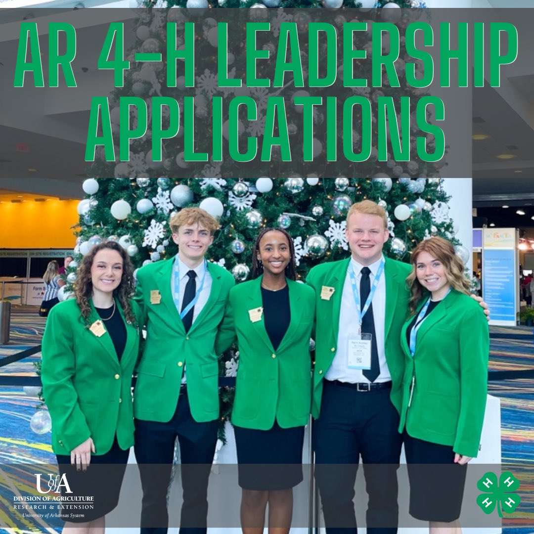 The applications for state #AR4H leadership positions Teen Star, Ambassador, &amp; State Officer candidate are OPEN! All 3 applications are due on Wednesday, March 15th by 11:59 pm! 🍀💻

Learn more ⬇️⬇️