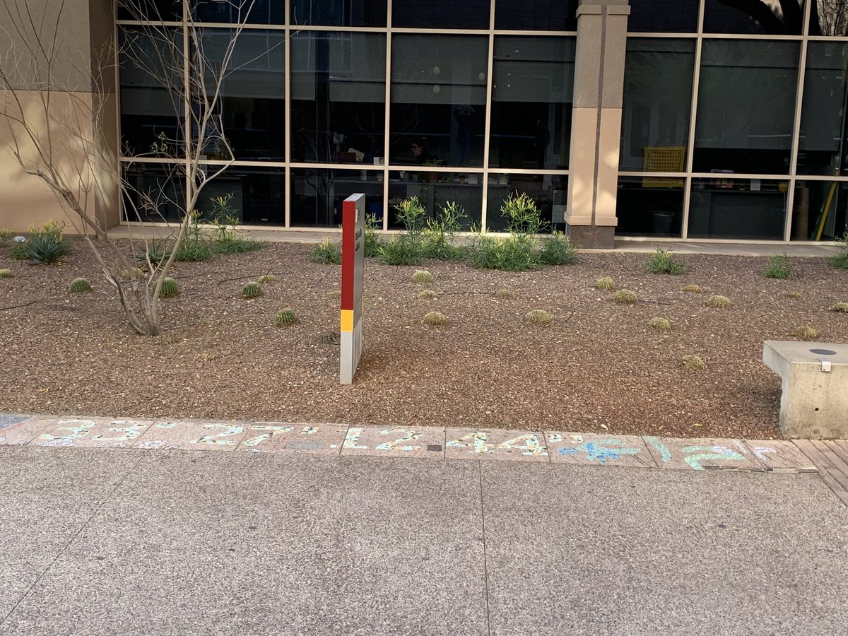 Lex Doig tweet media