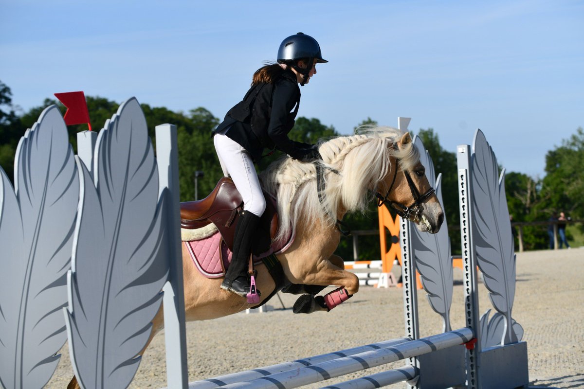 's tweet image. 📣 1er concours de la saison sportive 2023 au #HarasduPin le dimanche 29 janvier ! 

Au programme : des épreuves Club, #Poneys, Préparatoires et Shetland🐎

📍Rendez-vous sur la carrière du château du Haras national du Pin

Restauration sur place🥪
Entrée libre🙌🏼

#concourscheval