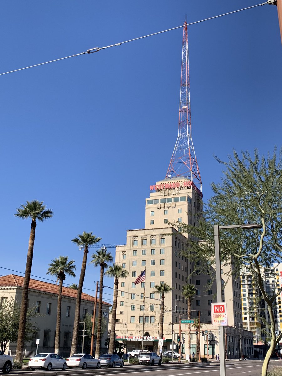 Lex Doig tweet media