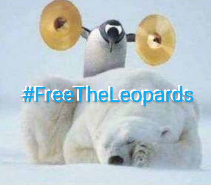 BunnysonBurner's tweet photo. #BreakoutTheBradleys #FreeTheLeopards https://t.co/xmVqpjVANJ