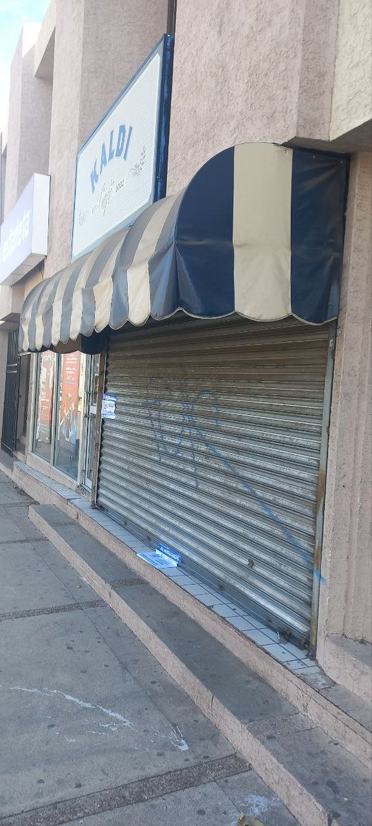 elperrogacho's tweet photo. ¡Con el @kaldicafe no! 
¿Por qué tienes que meterte con todo lo que amo @chihuahuampio?

Contexto: El municipio anda clausurando uno de los cafés más suaves de la ciudad nomás porque puede 😪😡 https://t.co/Eja4Lp54Xw