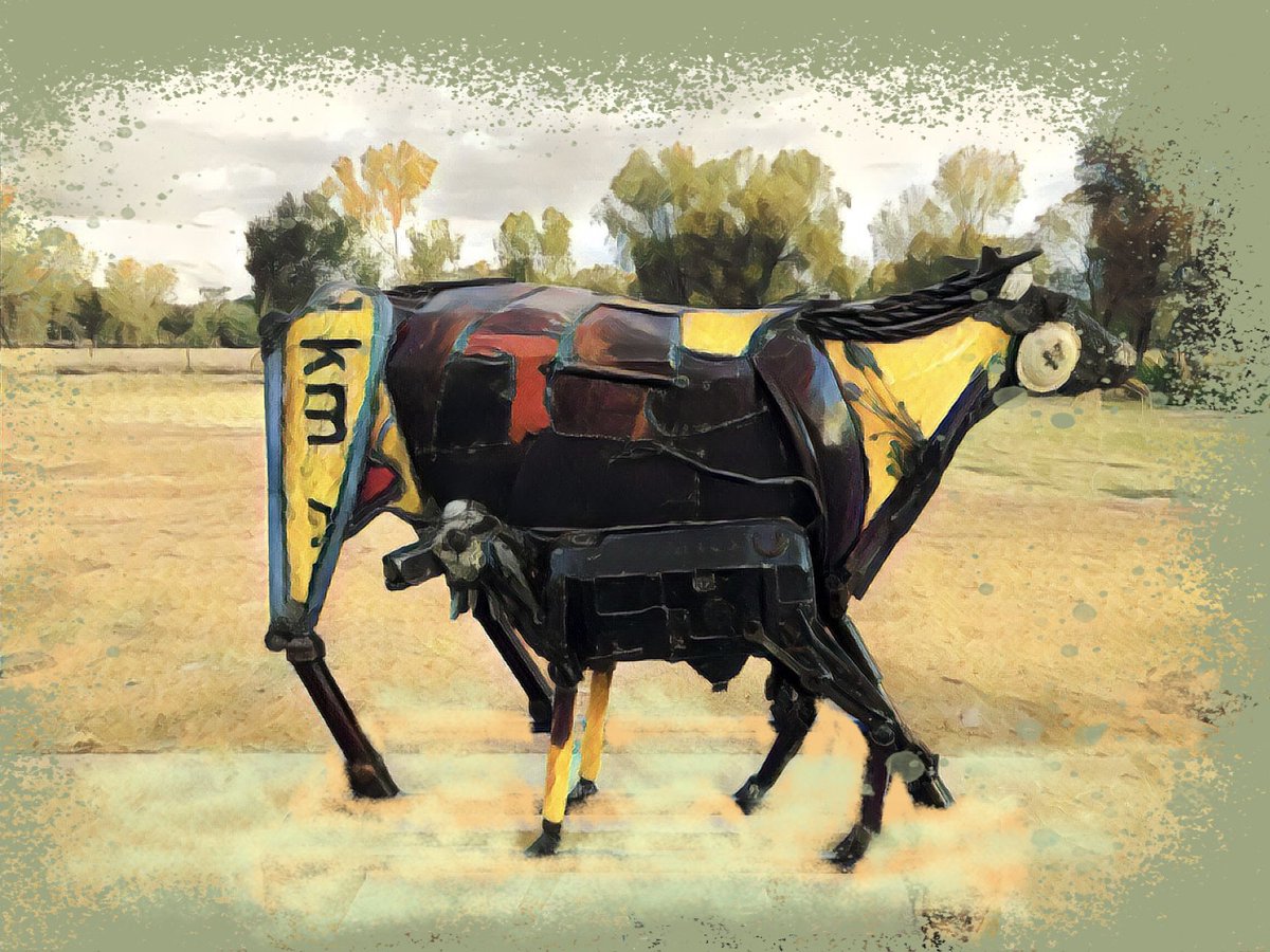 Scrapmetalsheil's tweet photo. Daisy the cow @Scrapmetalsheil #cow #art #artistontwittter #artists #metalart https://t.co/vbiYZrvKKl