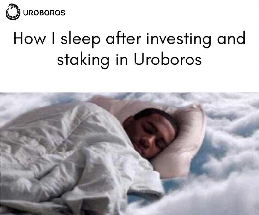 Mizter_AB's tweet image. Hello everyone, I will love to introduce you to this wonderful platform called ⁦@uroborosdefi⁩ 

⁦@uroborosdefi⁩ is a all in one Defi platform with a unique earning model which is Swap2earn.

Swap your tokens and get rewarded.

#Uroboros #Swap2earn #DeFi