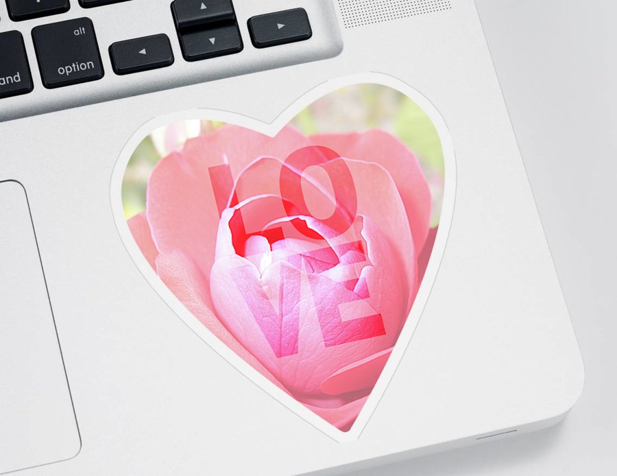 Lovely Delicate Rose #sticker Look kathrin-poersch.pixels.com/featured/lovel… #AYearForArt #flowerphotography #PhotographyIsArt #photographylovers #ArtistOnTwitter #SupportHumanArtists #shopsmall #onlineshopping #ValentinesDay2023 #LoveArt #ValentinesDay #rose #pink #pinkrose #valentinesdaygifts
