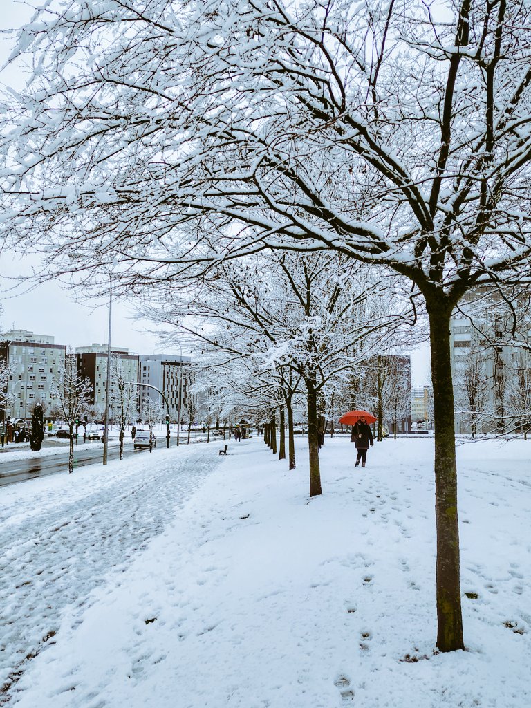 ialzu77's tweet photo. #Pamplona se viste de blanco. #meteo #invierno #winter #nieve #fotografia #fotografía #photography #photos #fototour #fotourbana #naturaleza #nature https://t.co/hUVu4SGJ2F