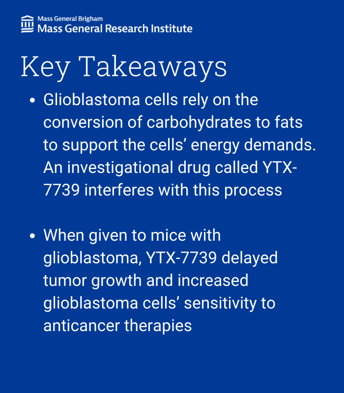 Mass General Brigham Research (@mgbresearchnews) on Twitter photo In a recent <a href="/ScienceTM/">Science Translational Medicine</a> study, researchers from @Badrlab <a href="/MGHNeurology/">MGH Neurology</a> <a href="/MGHNeuroOnc/">MGHNeuroOncology</a> found that an investigational drug may combat brain tumors by targeting cancer cells' fat production.
Read more: massgeneral.org/news/press-rel⦠#cancer #braintumor In a recent <a href="/ScienceTM/">Science Translational Medicine</a> study, researchers from @Badrlab <a href="/MGHNeurology/">MGH Neurology</a> <a href="/MGHNeuroOnc/">MGHNeuroOncology</a> found that an investigational drug may combat brain tumors by targeting cancer cells' fat production.
Read more: massgeneral.org/news/press-rel⦠#cancer #braintumor