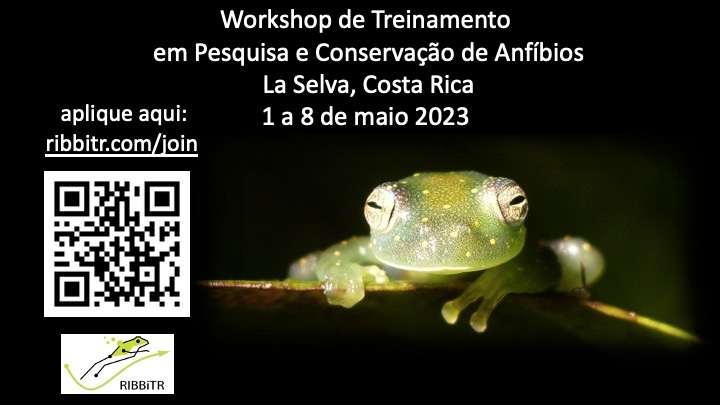 Are you interested in integrative biology and amphibian conservation?
RIBBiTR is hosting a training workshop in Costa Rica for grad students and postdocs!
Applications accepted in English, Português, and Español. 
Application deadline: February 17, 2023