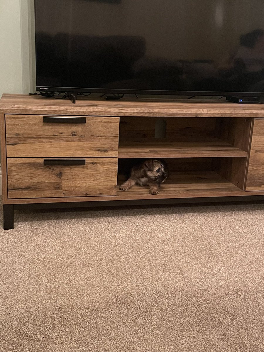 Tonight Matthew, I’m going to be… Camouflaged