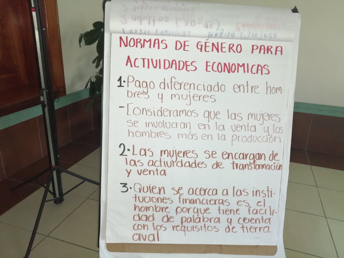 HubPSurCimmyt's tweet image. Análisis de las Normas de Género para la inclusión financiera.
#HubPSur
#WalmartFoundation
@ACCIMMYT
@CIMMYTesp