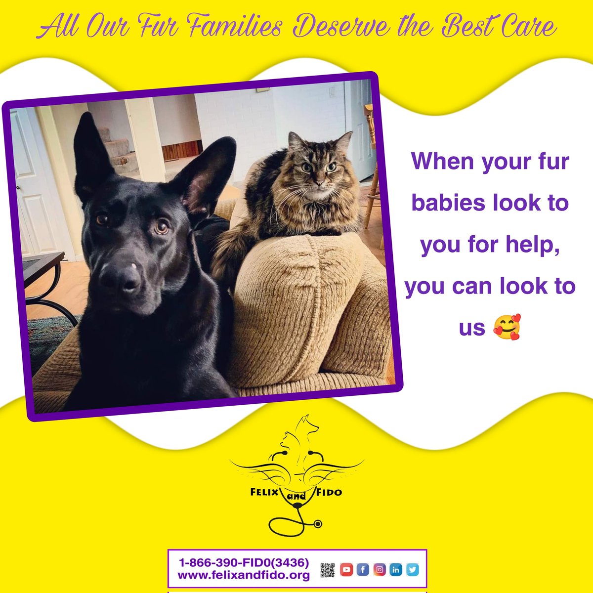 FelixandFido's tweet photo. Does your pet need nursing care? At Felix and Fido at Home Nursing Care, our motto is "All Our Fur Families Deserve the Best Care"❤️

How many of you just want to be home when you're not feeling yourself?

When your fur babies look to you for help, you can look to us. https://t.co/dIi32uH8Ep