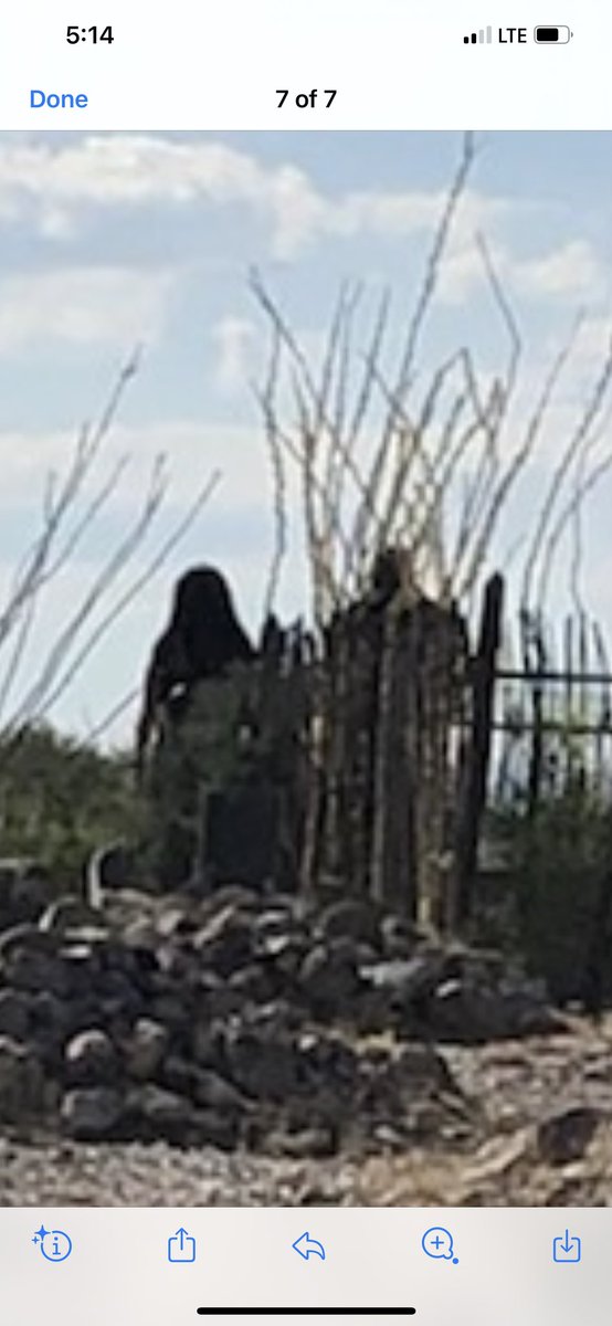 mjs311lovr's tweet photo. These two decided to show up in our picture at Boot Hill Cemetery in Tombstone, AZ. On the left is the zoomed in photo, on the right is the original. You can see “them” on the right in the original compared to other people on the left. @amyallantdf what do you think? https://t.co/EgU4fMKbe6