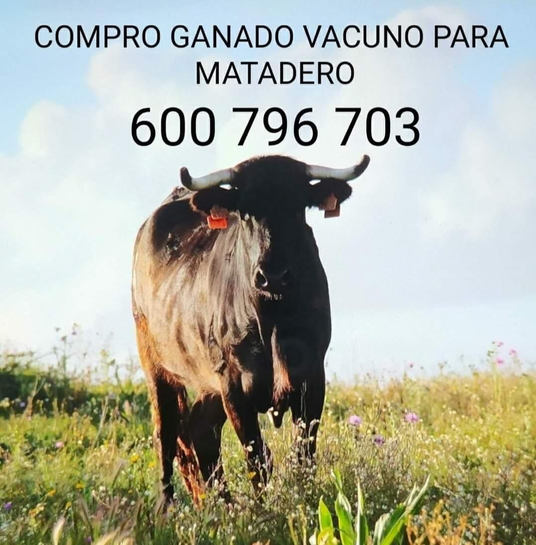 israel lancho (@israellancho) on Twitter photo 