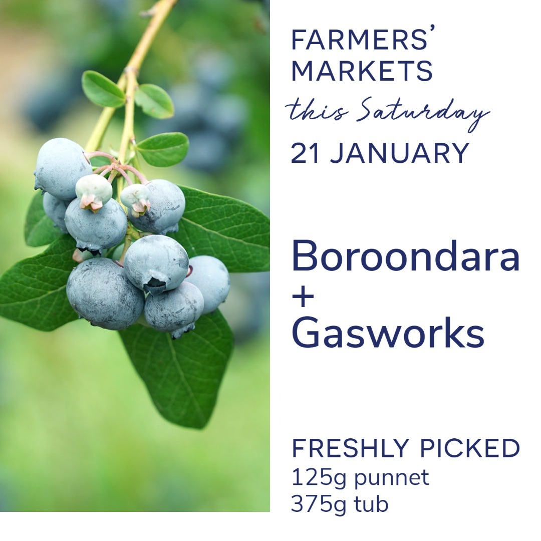 MoondarraBlue's tweet photo. We are back at Boroondara FM this Saturday for our fresh season. Also at Gasworks FM. Both markets will have freshly picked 125g punnets and 375g tubs of delicious blueberries!

@vicfarmersmarkets @gasworksartspark @boroondarafarmersmarket
#certifiedorganic #sustainablepackaging https://t.co/seJ2WZWk6s