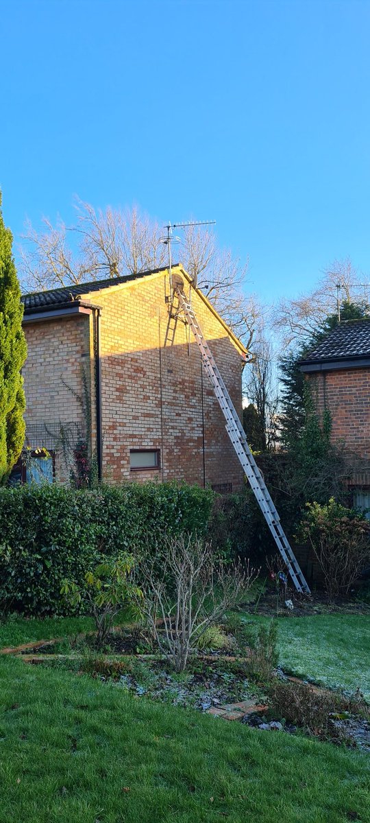 AerialsStephens's tweet image. A cold but sunny day in East Grinstead, our customers' dish had been damaged in recent winds. New heavy duty brackets and satellite dish fitted just in time before the sun goes down. Lovely views from up the ladder.
#EastGrinstead #freesat