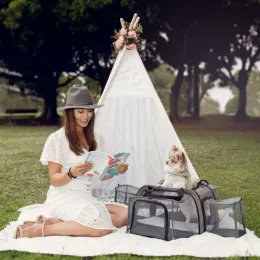 TracksGuide's tweet photo. https://t.co/l4rNJNstQB
#ultimatetravelgear #multifeaturedtravelset #bestdogstuff4You https://t.co/r1R8mmThJ6