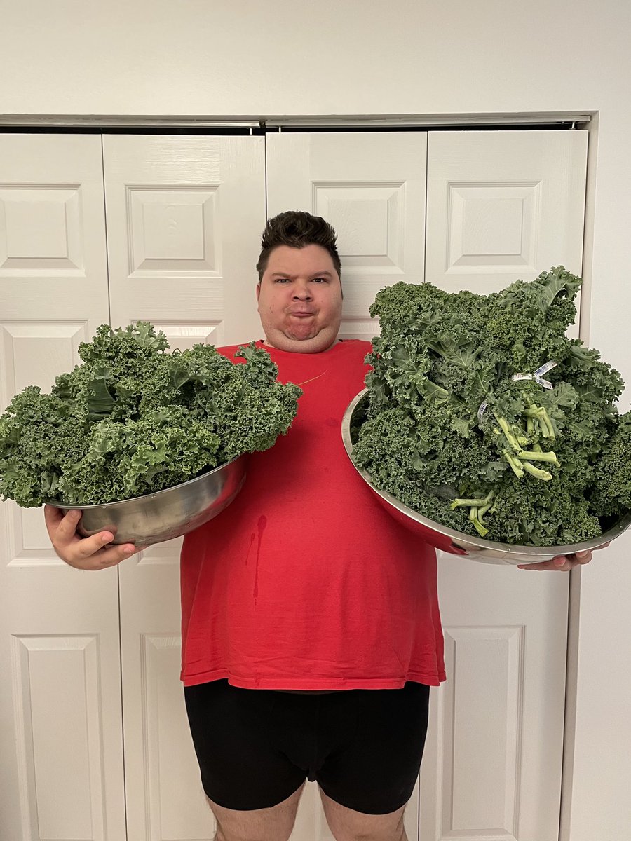 realnikocado tweet media