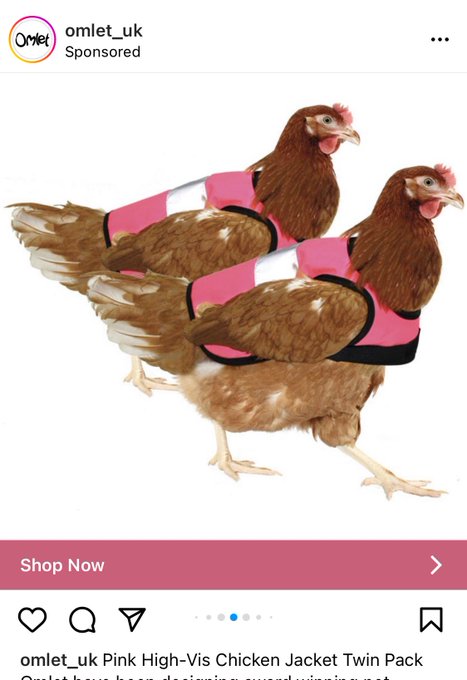 My pop adverts suggestions are usually WAY off but this one was absolutely a-bit of me. Just need a pet<a href="/tag/eurovision2023"class="tags"><span>#eurovision2023</span></a>