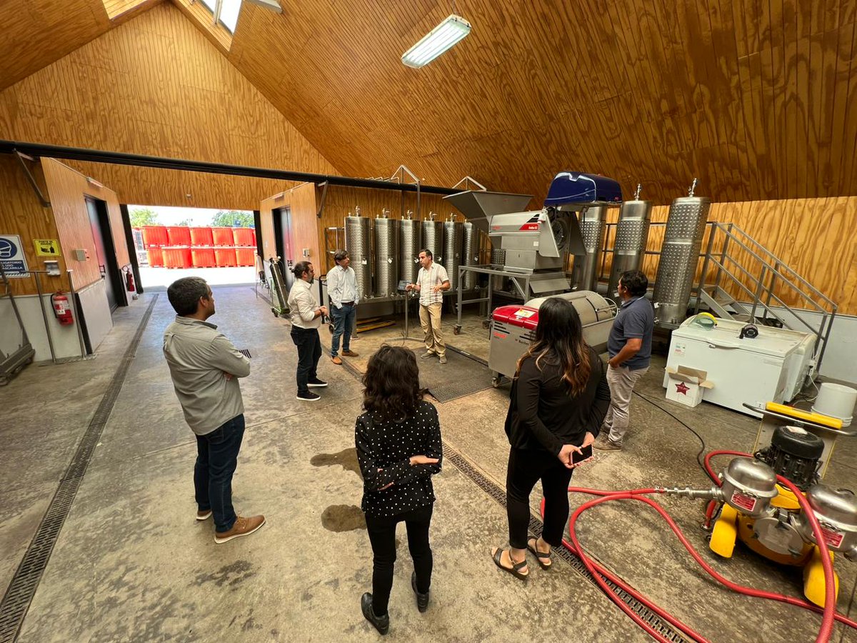 inria_chile's tweet photo. Hoy estuvimos en la Región del Maule, en el Centro de Investigación e Innovación de Viña @conchaytoro, en un encuentro en que hablamos de #AgriculturaDigital, de los avances del proyecto #FrostForecast❄️ y de potenciales ejes de trabajo conjunto. https://t.co/H240aaq1Ya