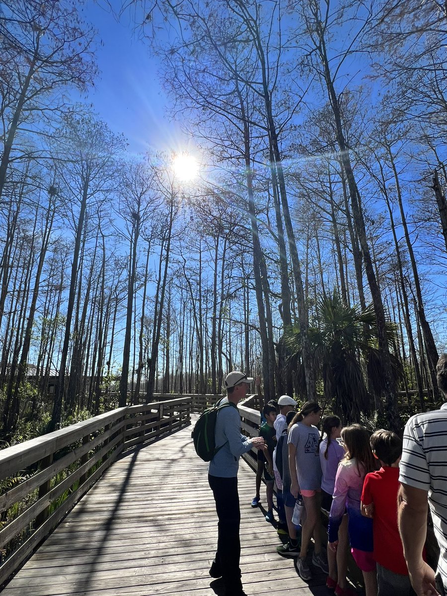 Mrs_SHamilton's tweet photo. We had such a fun, dirty, muddy day at Grassy Waters Preserve! We learned so much about our swamps and ecosystem. This is always a favorite trip for our 4th graders. Thank you to our chaperones for willing to get wet with us. ๐ @ElbridgeGaleES #frozentoes https://t.co/NB4rANOicG