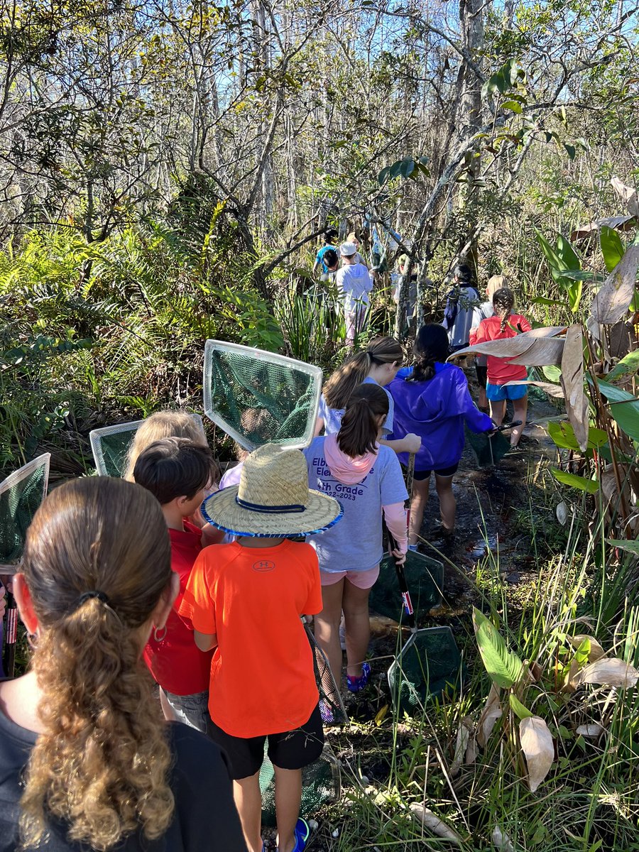 Mrs_SHamilton's tweet photo. We had such a fun, dirty, muddy day at Grassy Waters Preserve! We learned so much about our swamps and ecosystem. This is always a favorite trip for our 4th graders. Thank you to our chaperones for willing to get wet with us. ๐ @ElbridgeGaleES #frozentoes https://t.co/NB4rANOicG