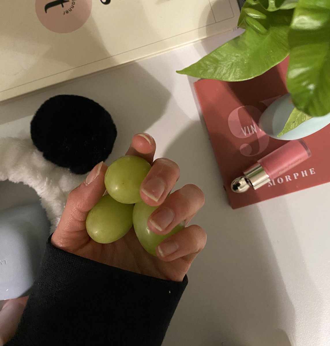 figbased's tweet image. literally the biggest graps ever