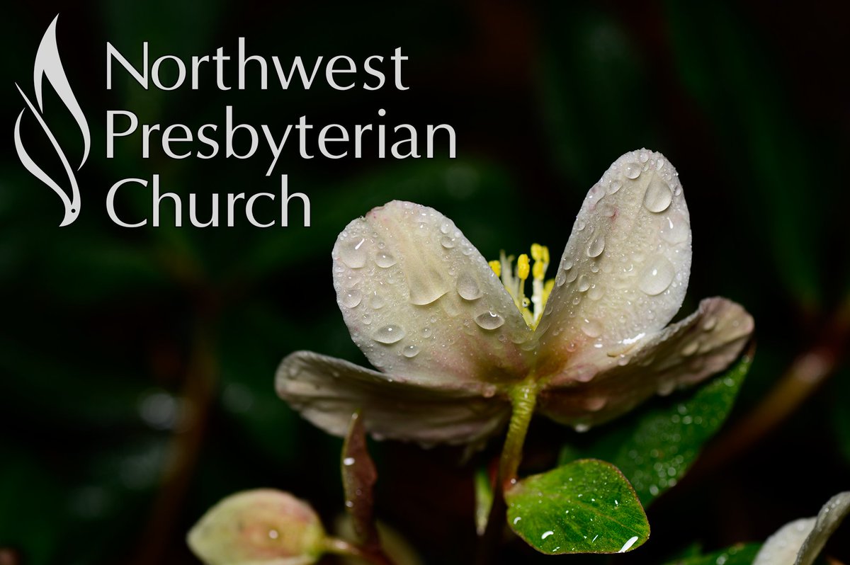 NWPCAtlanta's tweet photo. News from Northwest Presbyterian Church - https://t.co/NAwUxvebRz https://t.co/vJWY2BR1tO
