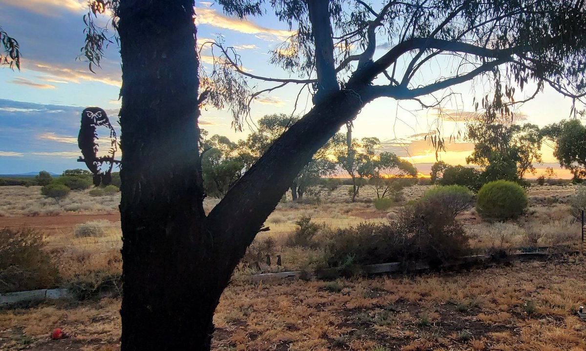 Three years living and working at #CharlesDarwinReserve in #BadimiaCountry and I still love every moment. And this morning view of course!