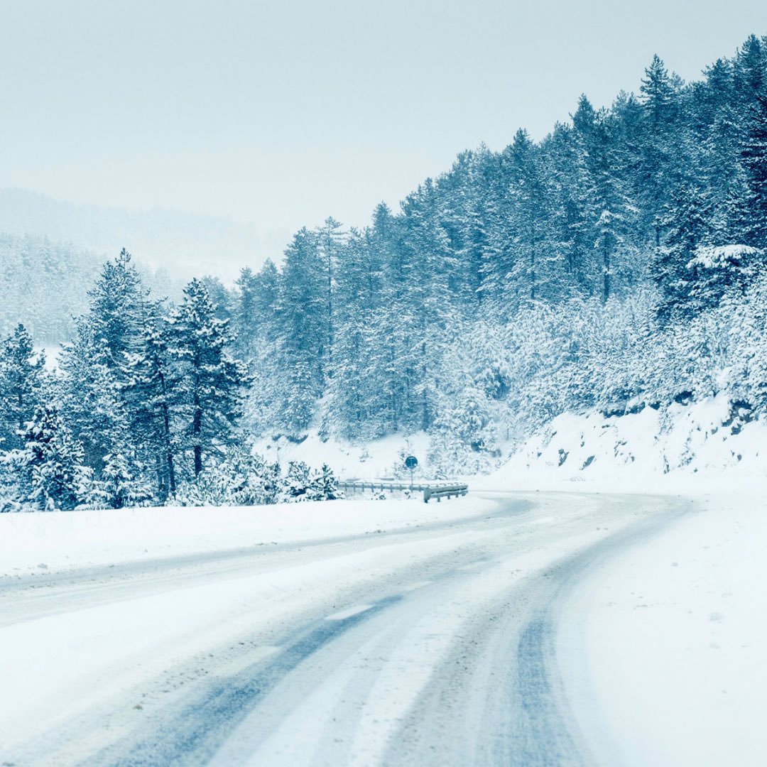 Maritime Bus tweet media