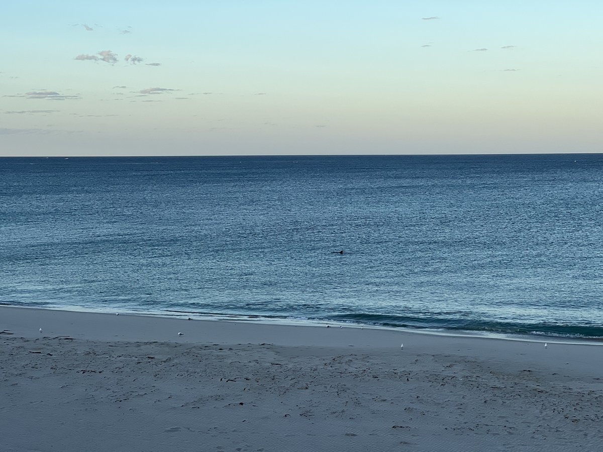 David Brown tweet media