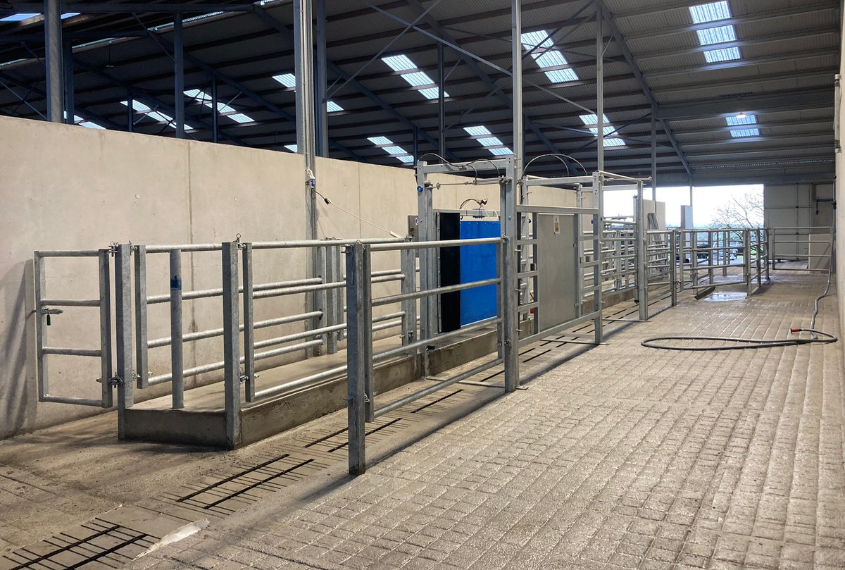 Fist week of milking put down in the new <a href="/dairymaster/">Dairymaster</a> parlour.  Delighted with the move so far. Thanks to Dan Connolly and the lads for the installation