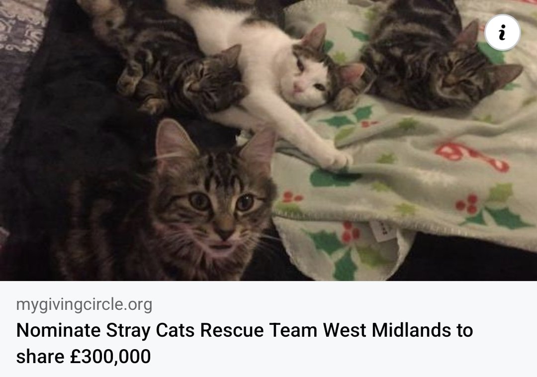 StrayCatsWM's tweet photo. Please vote for SCRT team , it’s FREE !! all it costs is a couple of minutes of your time and continue to vote weekly 🙏🙏 we came second in the previous round and was awarded £1,500 . 

https://t.co/QccCf6xaek https://t.co/4YaXEpKoGZ