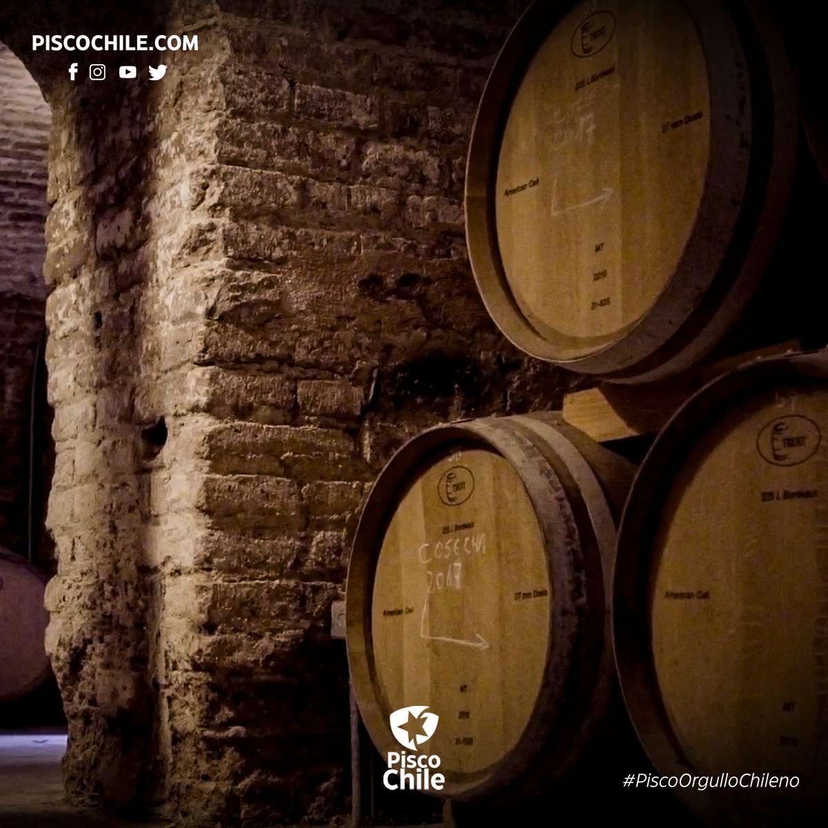 En las Bodegas de guarda es donde el pisco reposa y adquiere sabiduría y carácter que el tiempo se encarga de plasmar en su espíritu.

#PiscoOrgulloChileno

🔻 Consume con responsabilidad. Producto para mayores de 18 años.