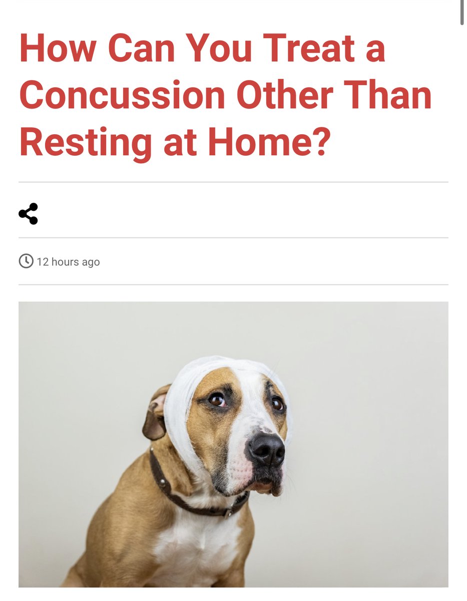 How Can You Treat a Concussion Other Than Resting at Home?

👉 Read more here👇
👉 ironmagazine.com/2023/how-can-y…

#Concussion #treatconcussion #concussion #concussionrecovery #braininjury #headinjury #concussionawareness #braininjuryawareness #brainhealth #mentalhealth