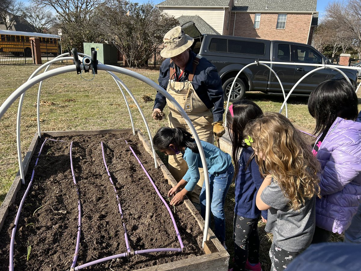 Beth Reeves tweet media