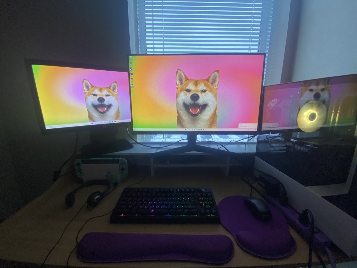 ShibaInuSwitch's tweet photo. Heres a realistic simple gaming setup for your feed #simplesetup #acnh #streamer #cozygames #shibainu https://t.co/fmnC96SexY