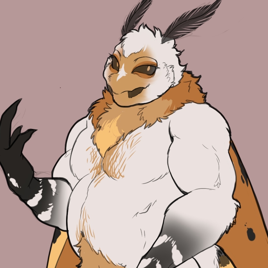 SodiumZangoose's tweet photo. Ladies and gentlemen, I'm mothman frfr https://t.co/OLcqnuKQB6