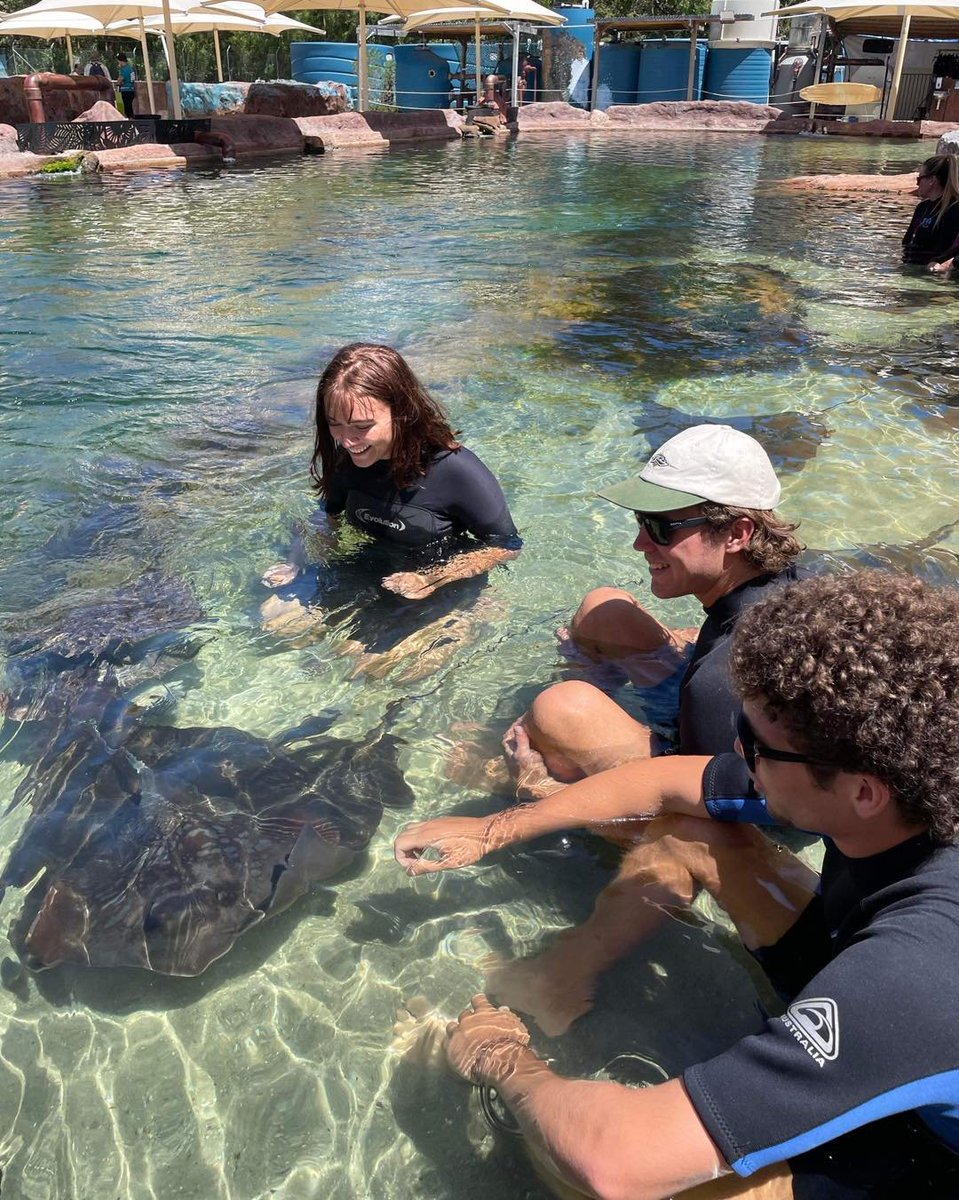 It is incredible how many visit Irukandji for the sharks and leave with stingray shaped hearts 💛 #stingraylove #incrediblebynature #PortStephens #irukandji #canchangetheworld #visitNSW