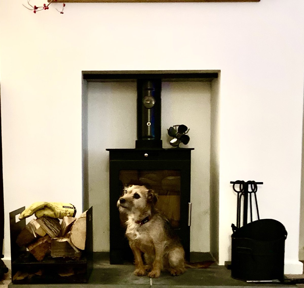 MOHO_Mutt's tweet photo. @MakingArtMarks @WeAreLSCFT @LSCFT_OTs @MOHOspark That’s what I keep saying! I like to remind the humans that their role is to ensure my physical environment is adapted perfectly for one of my favourite occupational forms … chilling by he fire. My daily goal- to get the fire lit https://t.co/x56fbrAIs8