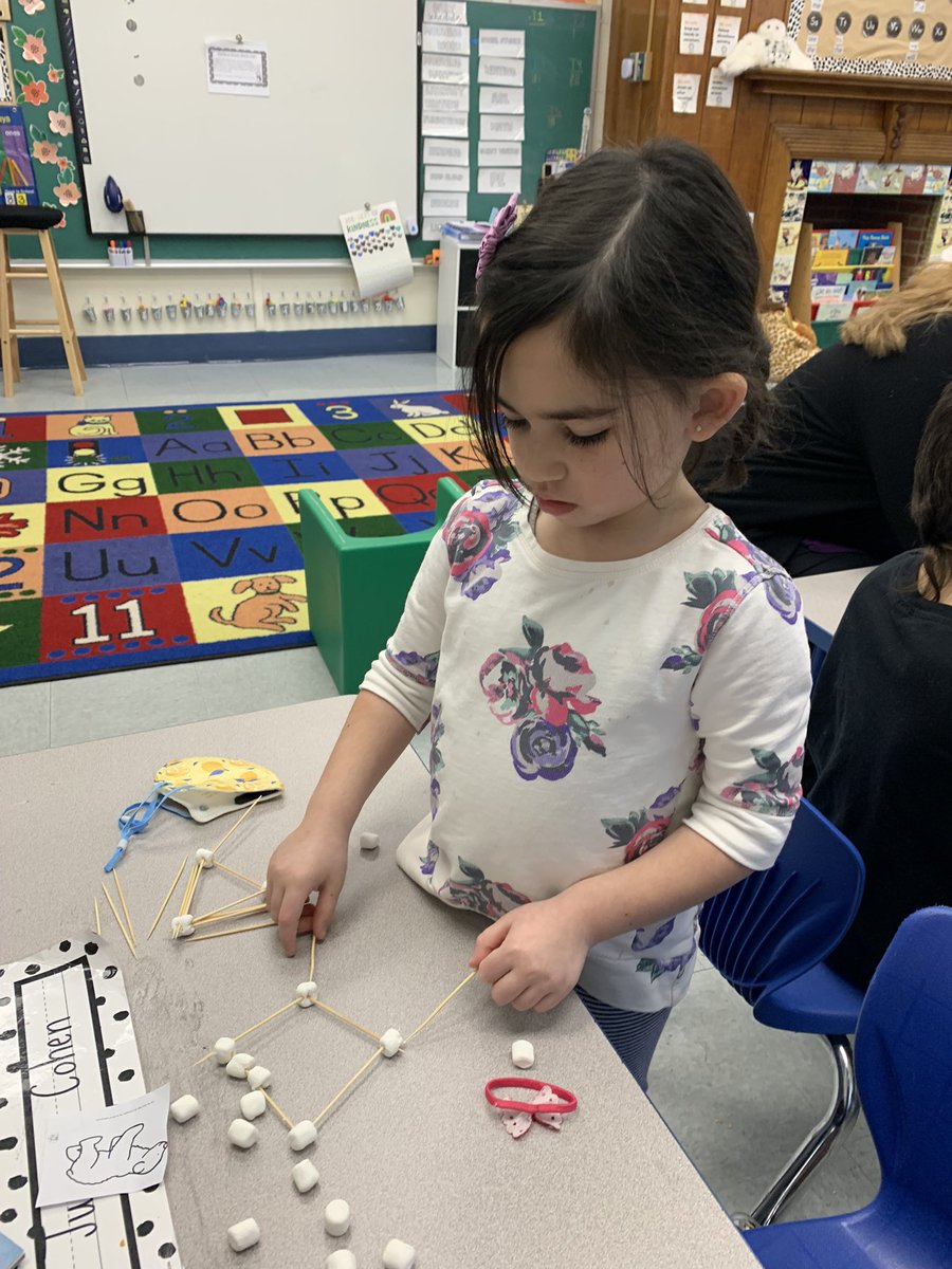 Students got to make a polar bear den today! ❄️ #tatemtweets