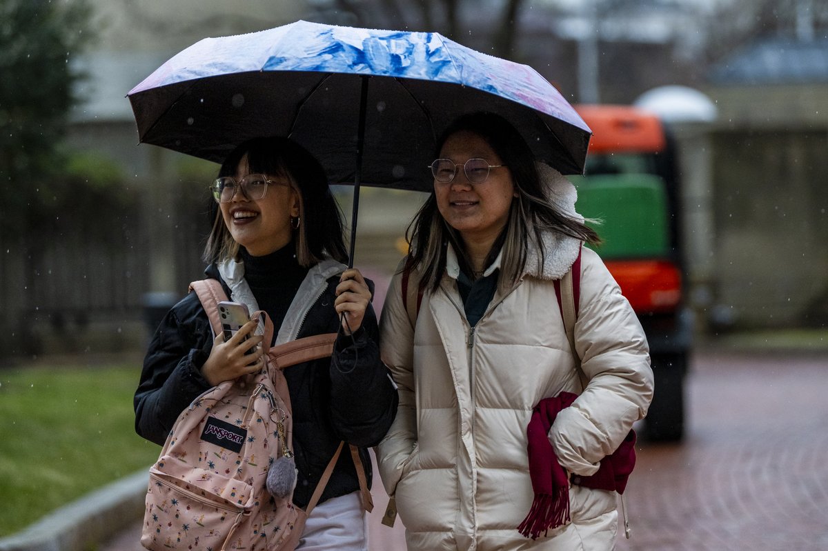 Northeastern's tweet photo. Retweet if you wish this 🌧️ was ❄️ https://t.co/oBBX22ha9U